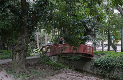 Jardim Botânico, Rio De Janeiro, Brazil
