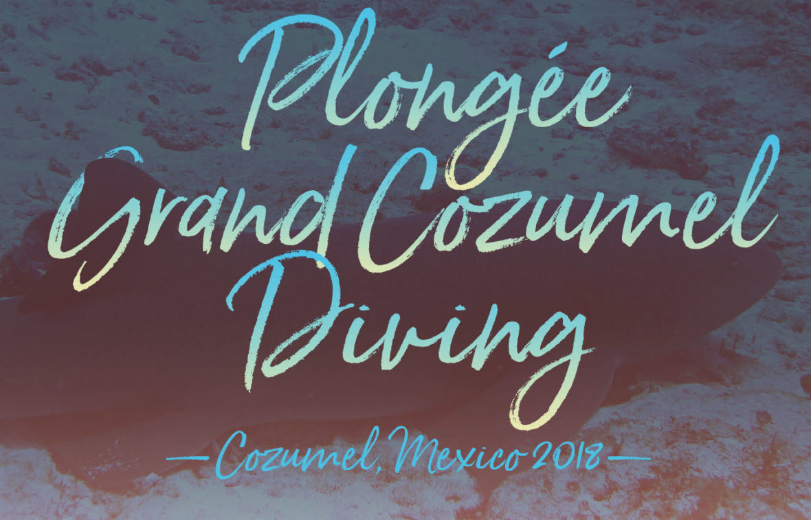 Plongee Grand Cozumel Diving, Scuba, Cozumel, Mexico