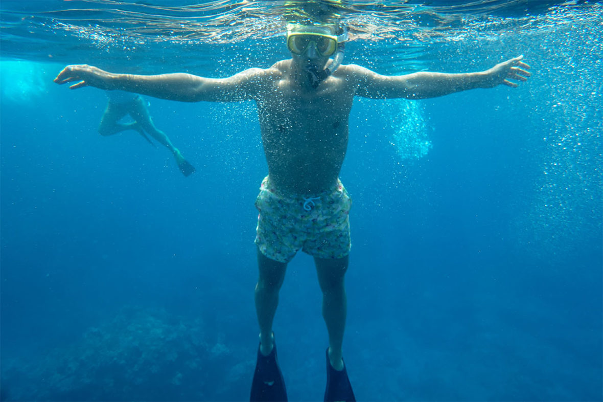 BodyGlove Snorkeling and Dolphin Watch in Kona, Hawaii