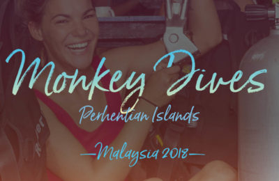 Photo of a Monkey Diver holding the Subway Handle in the Perhentian Islands, Malaysia. We went diving at D’Lagoon, Sail Rock, Stingray Alley, T3, Terembu Tigga and Tanjung Basi.