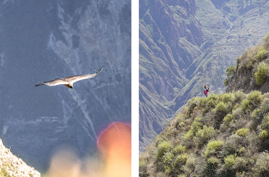 Colca Canyon, Peru, Travel Tips by NY See You Later