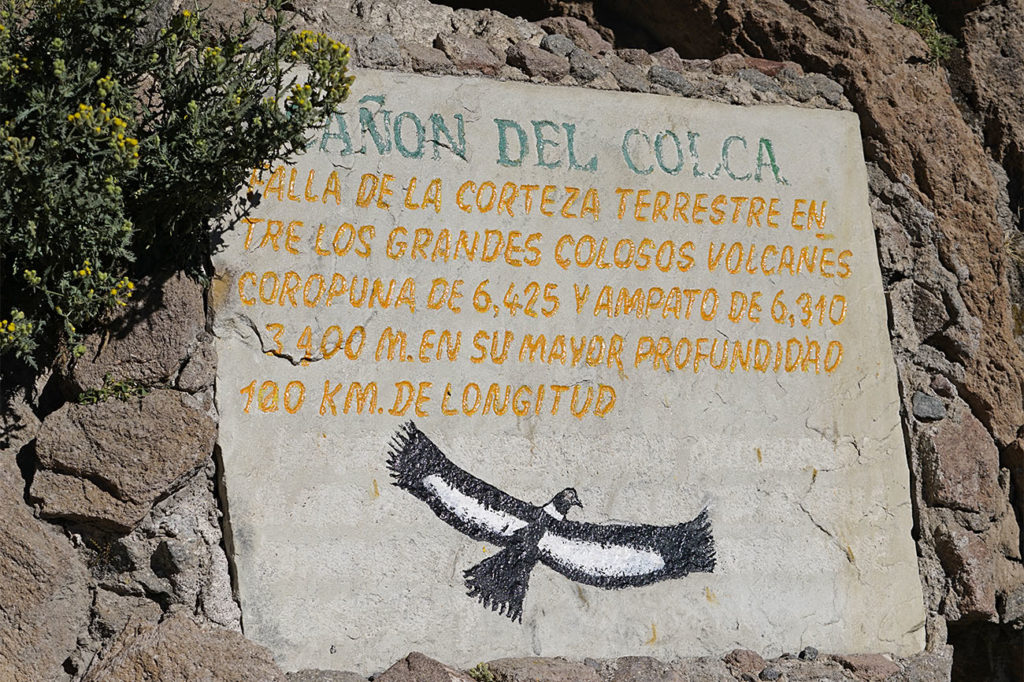 Colca Canyon, Peru, Travel Tips by NY See You Later