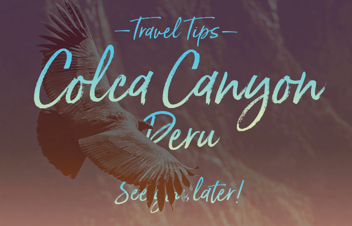 Colca Canyon, Peru, Travel Tips by NY See You Later